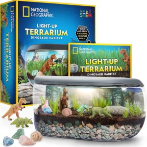 Dinosaur Light Up Terrarium Kit - Build and Grow a Dino Habitat